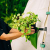 Bloom Hanging Planters