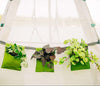 Bloom Hanging Planters